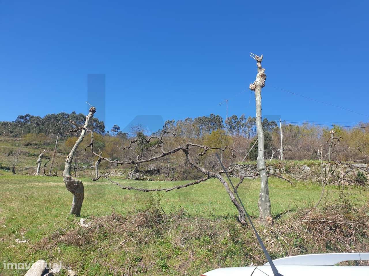 Terreno Rústico para Venda  com 2500m2– Lugar de Asnela, Rio Douro – C - Grande imagem: 5/8
