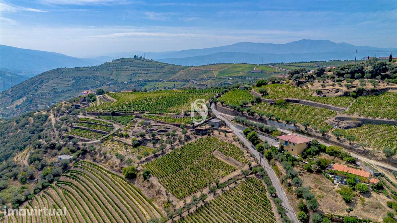 Terreno Rústico  Venda em Poiares e Canelas,Peso da Régua - Grande imagem: 2/19