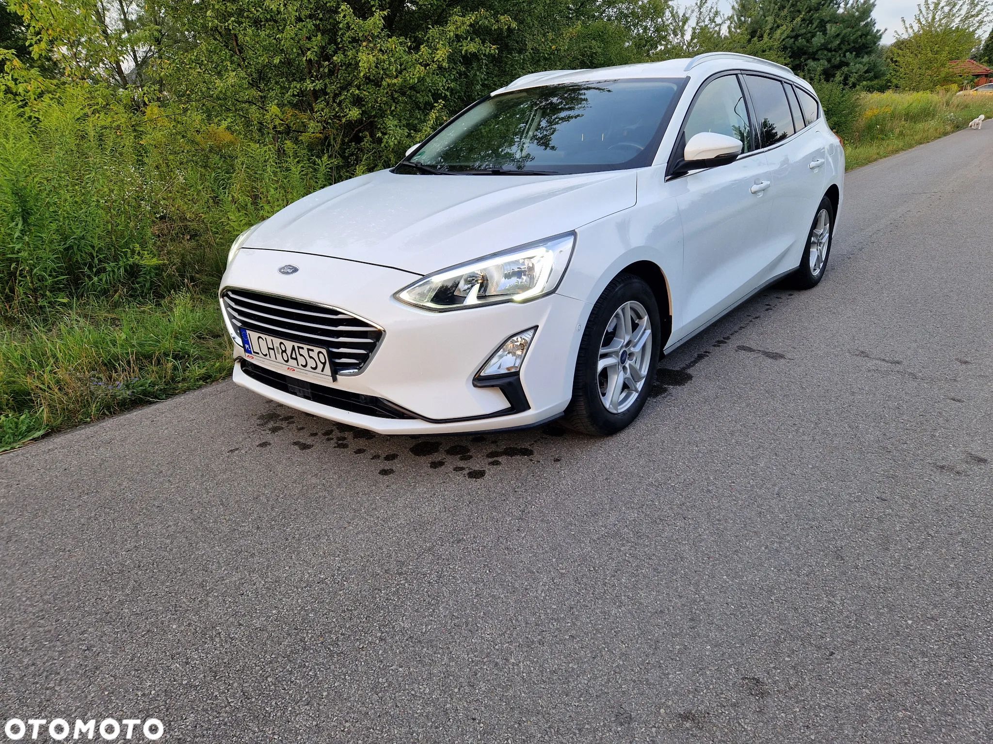Ford Focus - 1