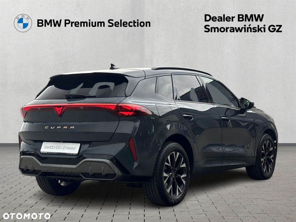 Cupra Terramar - 25