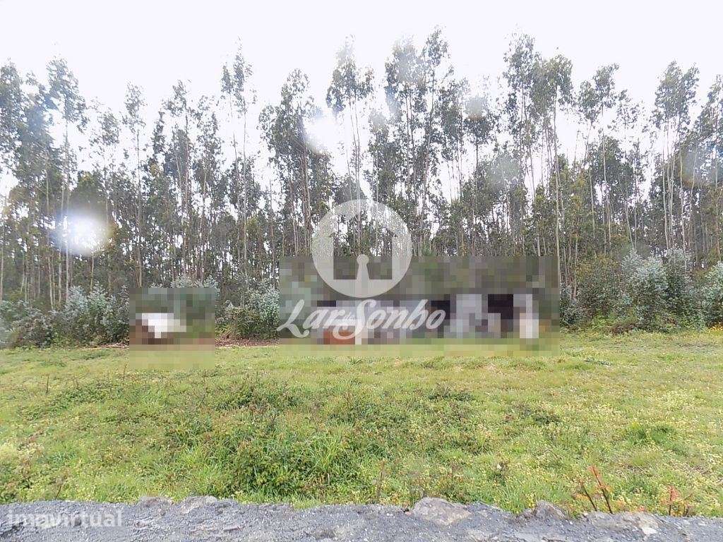 Terreno de 40.762 m2 com 3500 m2 de construção em Bagunte - Grande imagem: 3/4