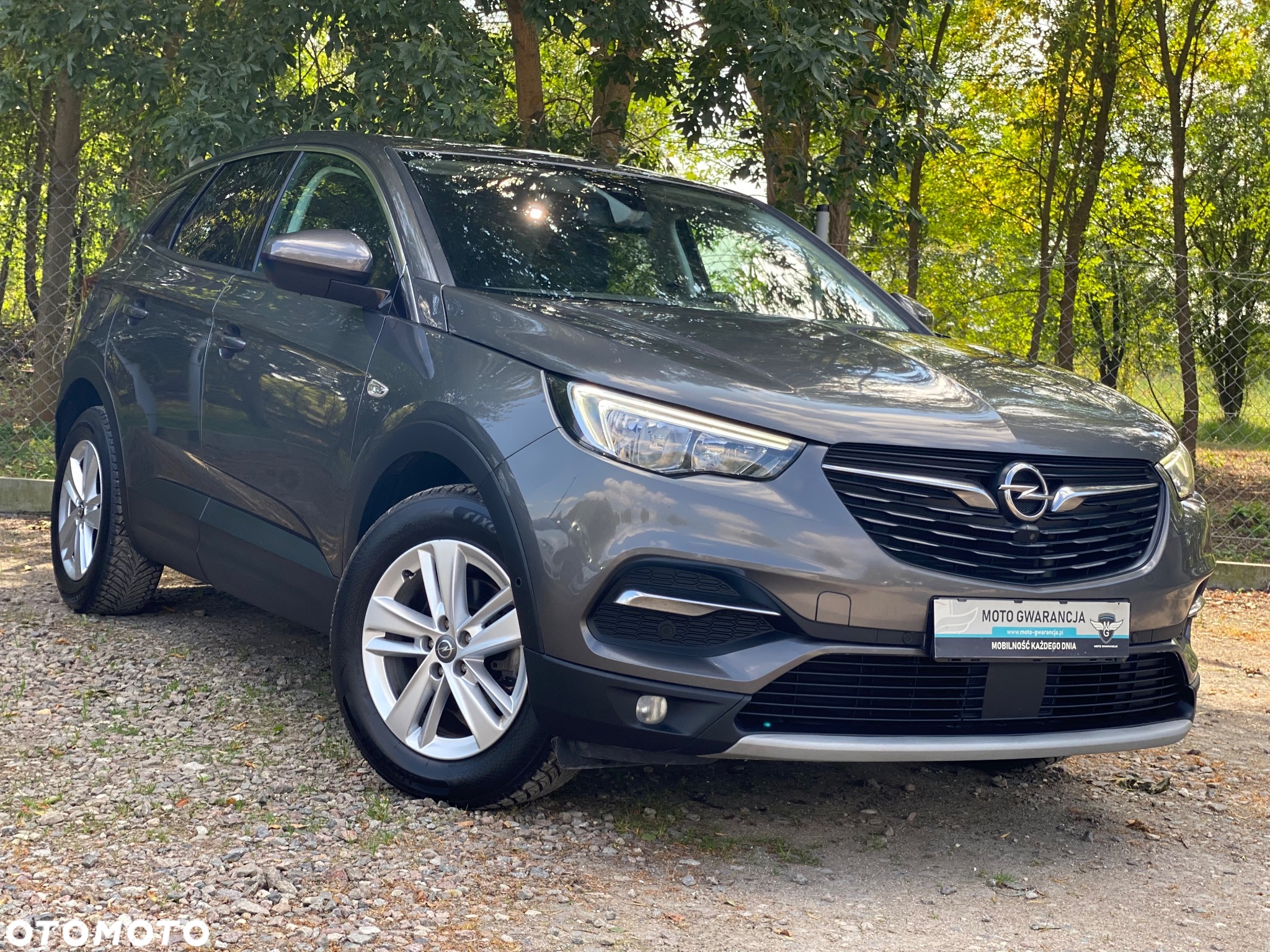 Opel Grandland X 1.6 CDTI Innovation S&S - 37