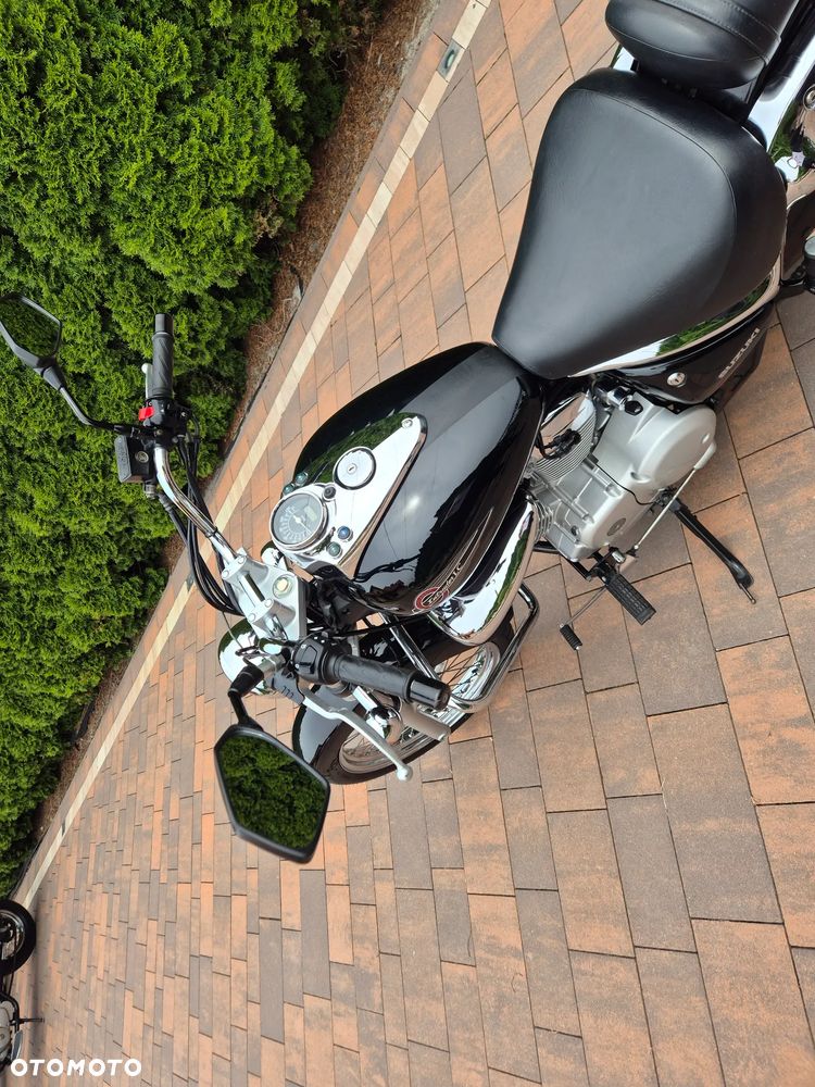Suzuki Intruder - 10