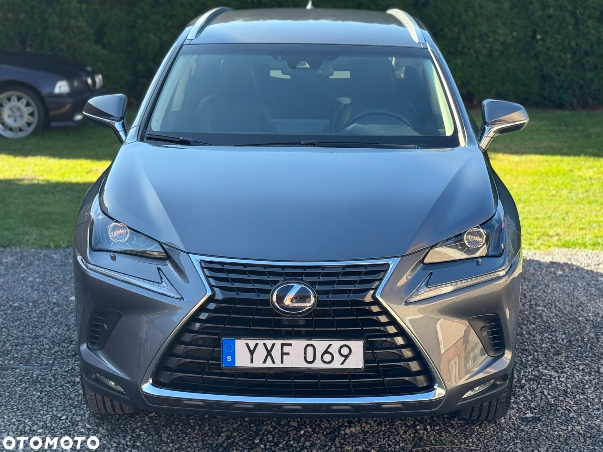 Lexus NX 350h F Sport AWD - 4