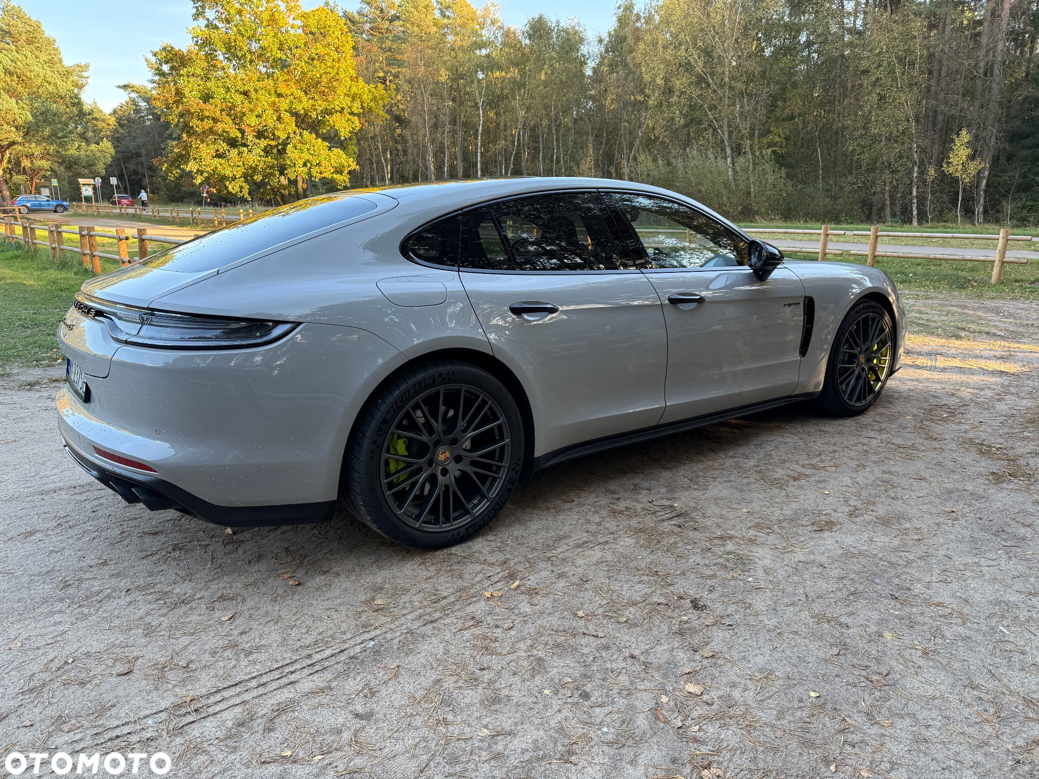 Porsche Panamera 4S E-Hybrid - 30