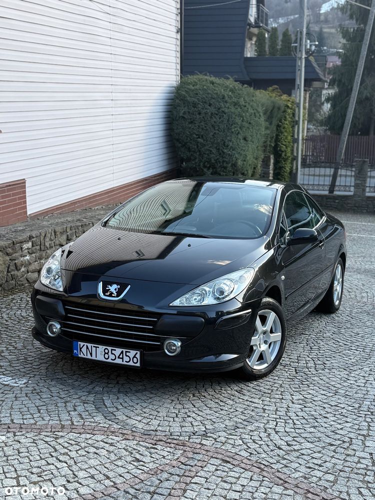 Peugeot 307 CC - 19
