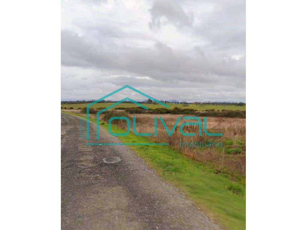 Terreno à venda em Oledo - Grande imagem: 4/10