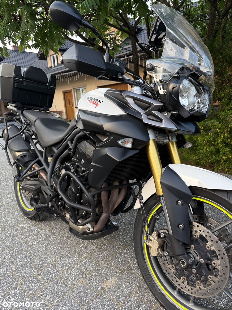 Triumph Tiger - 1