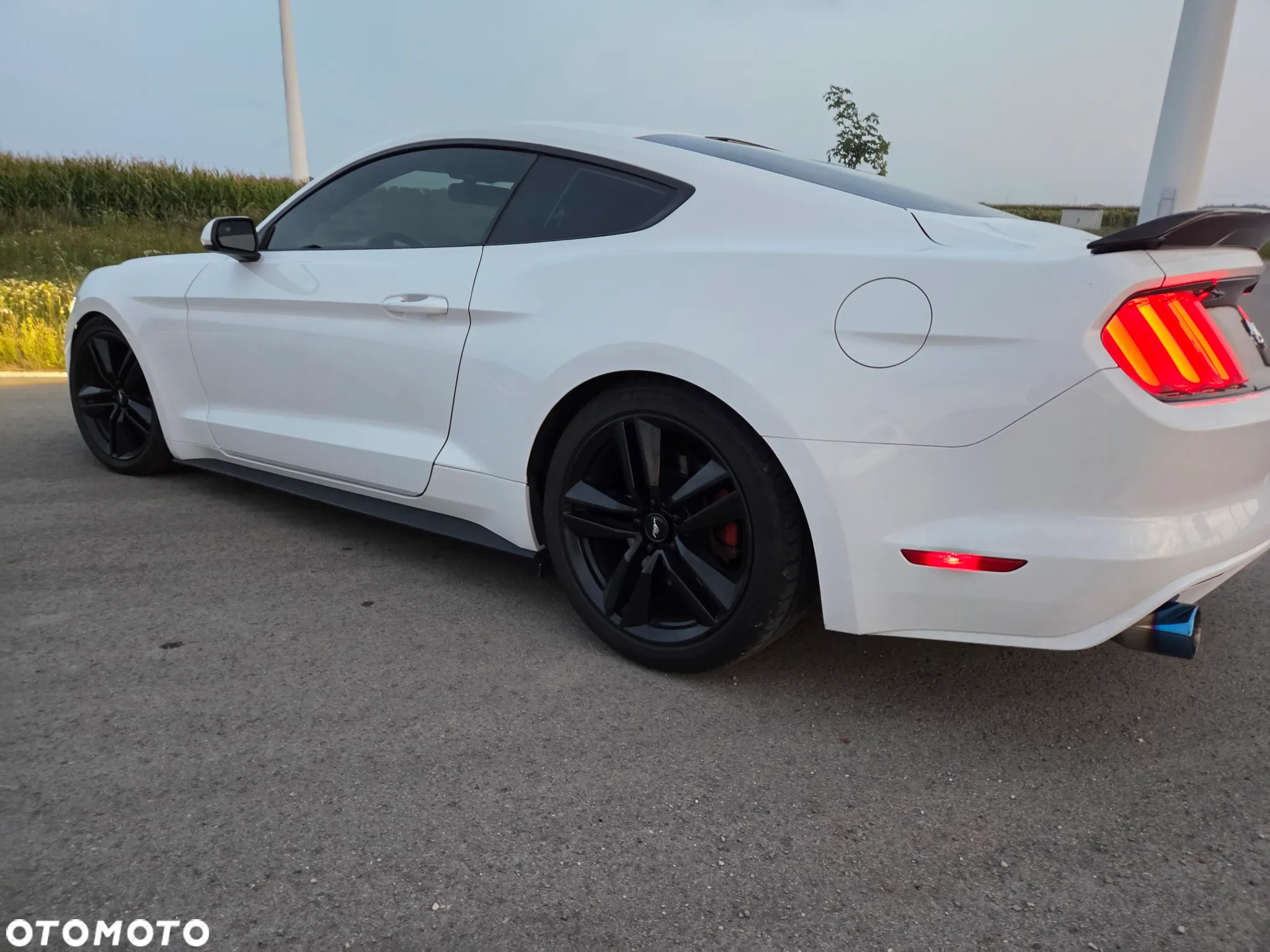 Ford Mustang 3.7 V6 - 9