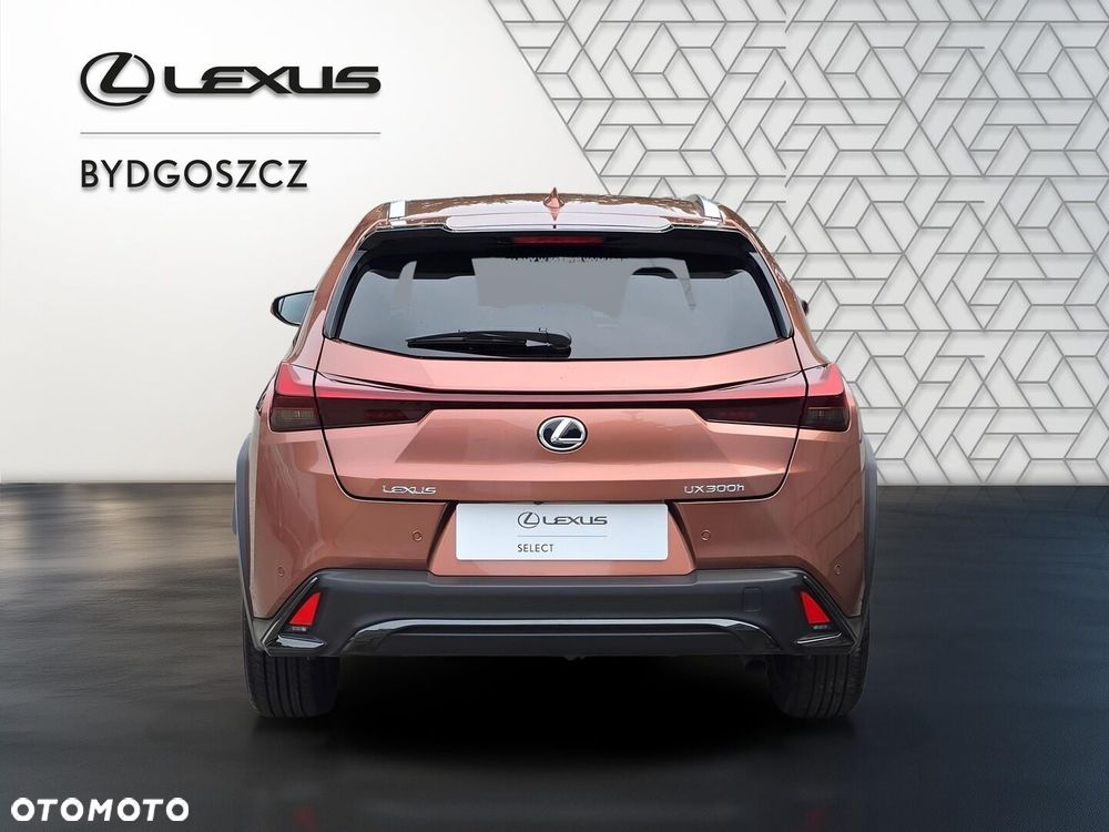 Lexus UX 300h F Sport Design - 4