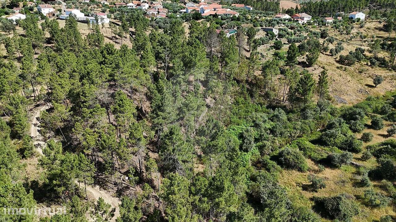 Terreno  para venda - Grande imagem: 2/10
