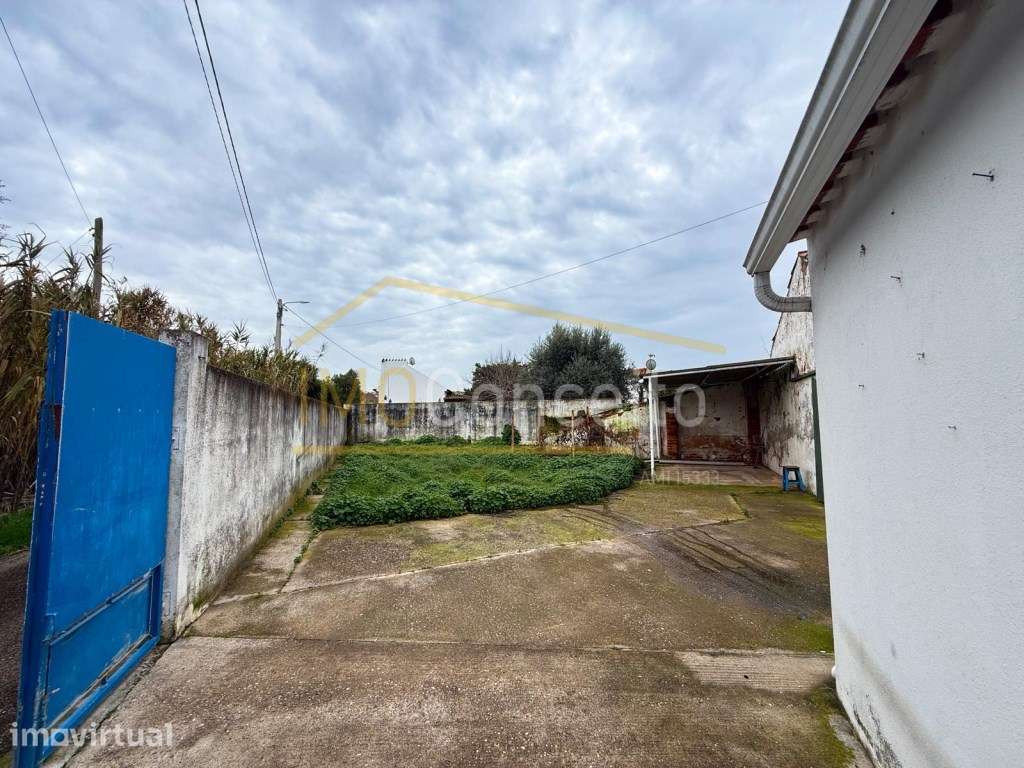 QUINTA DE 2 HÉCTARES NA CHAMUSCA| REFÚGIO COM ACESSO DIRETO AO RIO ... - Grande imagem: 3/30