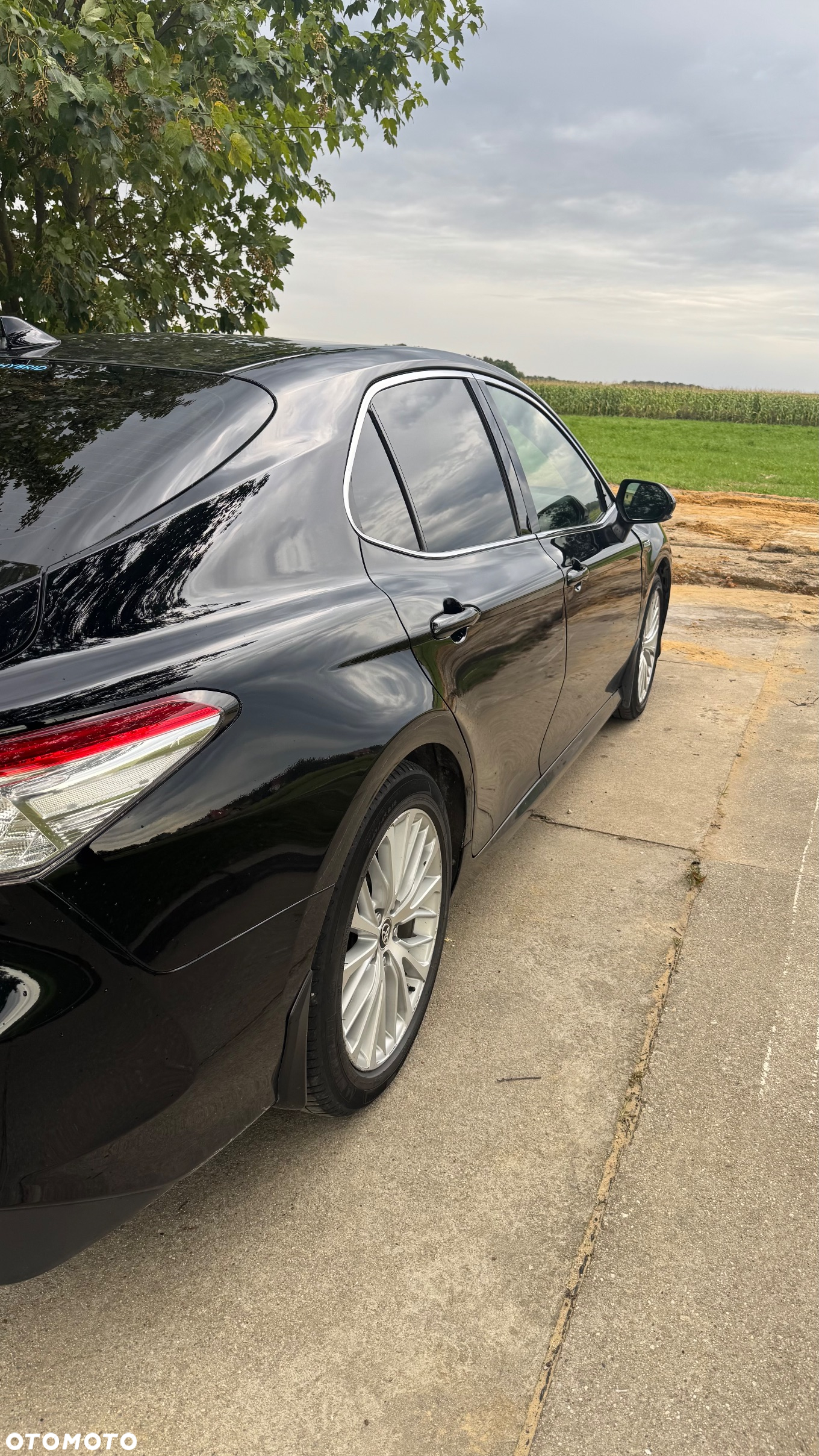 Toyota Camry 2.5 Hybrid Executive CVT - 5