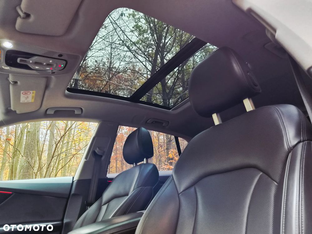 Audi Q8 - 21