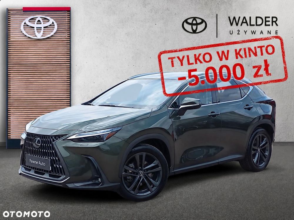Lexus NX - 19