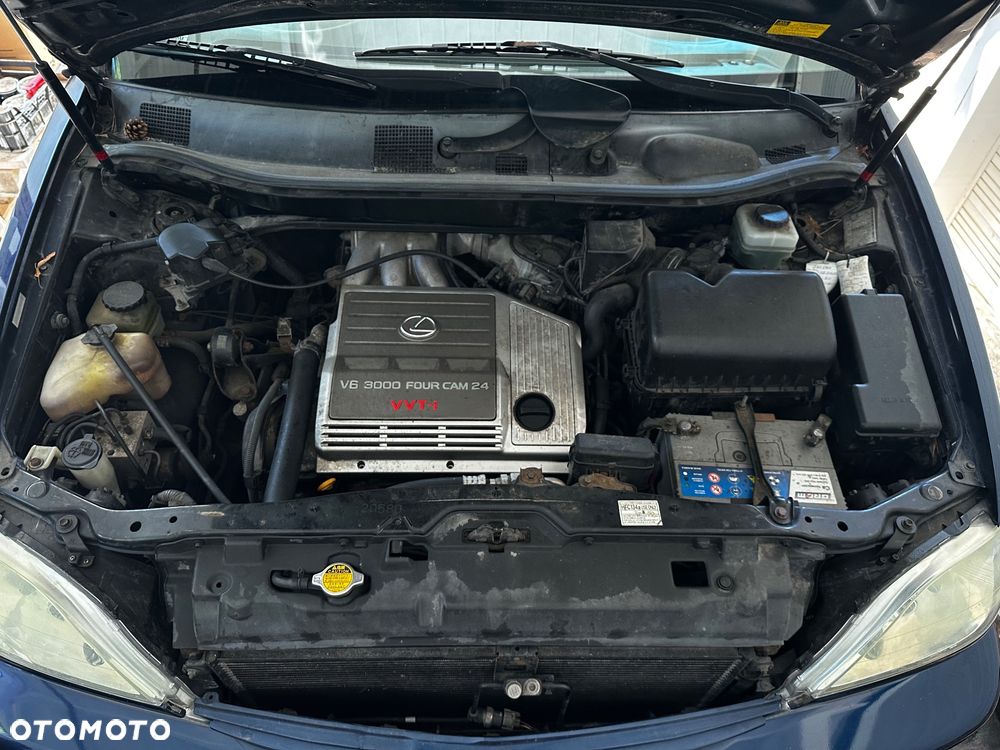 Lexus RX Lux - 15