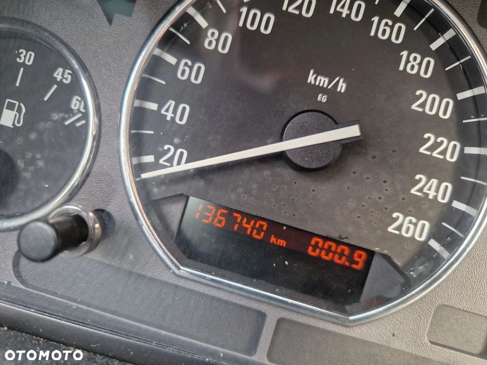 BMW Seria 3 318i - 22