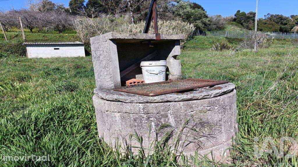 Terreno em Cela de 1585,00 m2 - Grande imagem: 5/22