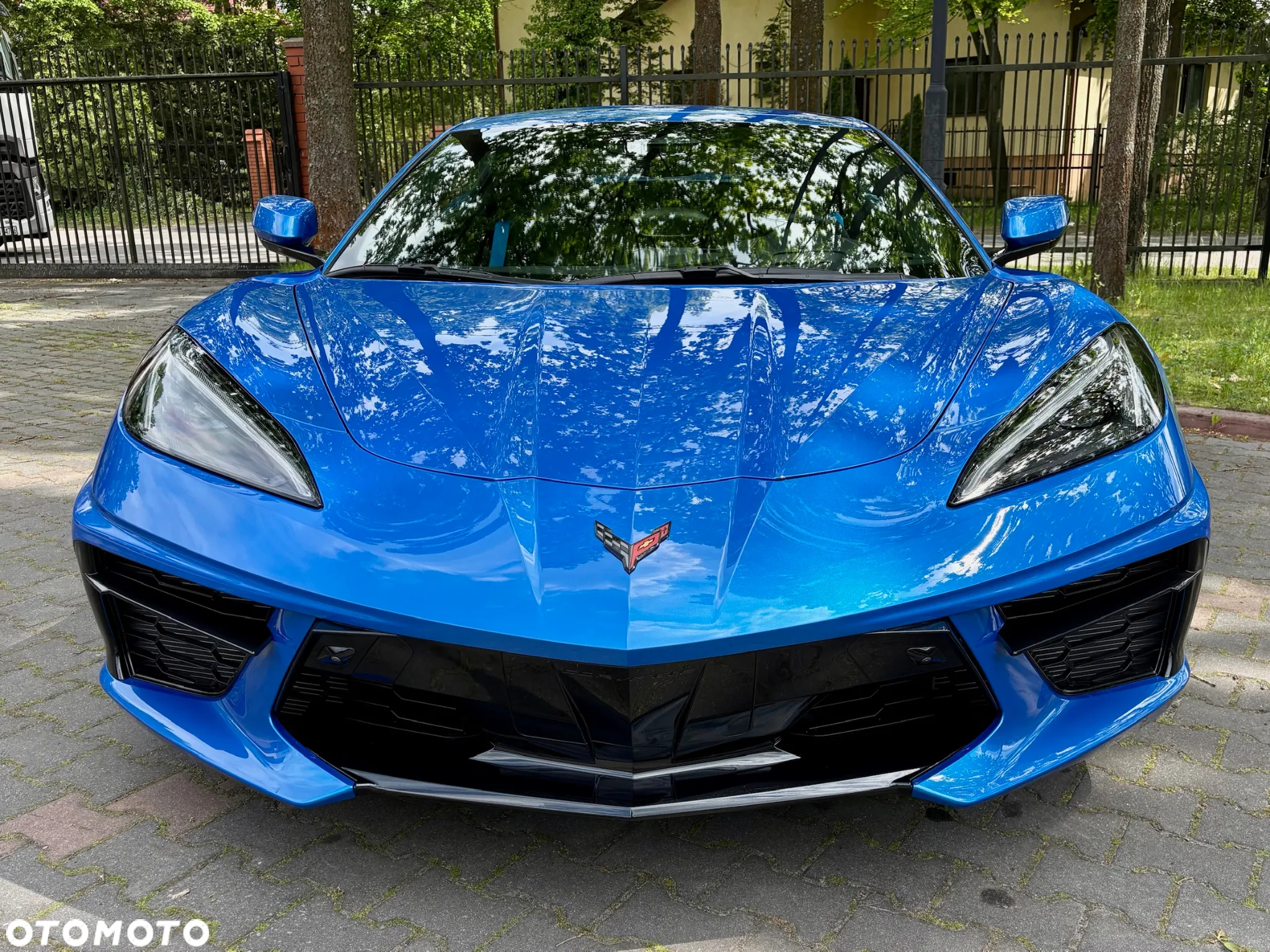 Chevrolet Corvette - 13