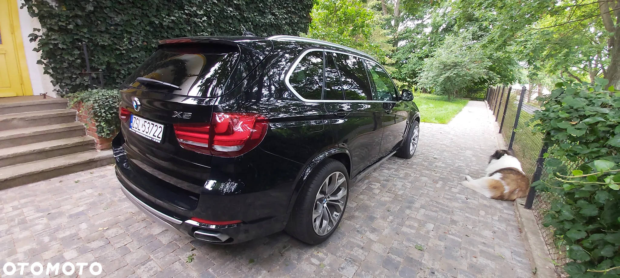 BMW X5 - 6