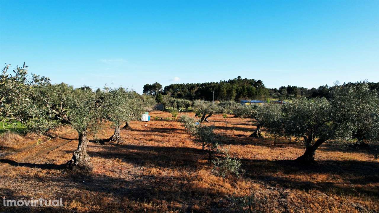 Terreno - Grande imagem: 3/10