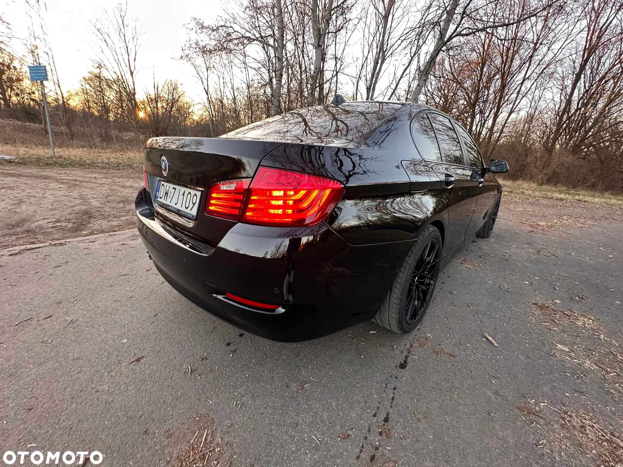 BMW Seria 5 518d Luxury Line - 5