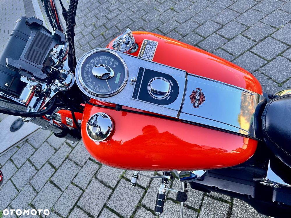 Harley-Davidson Softail Standard - 13