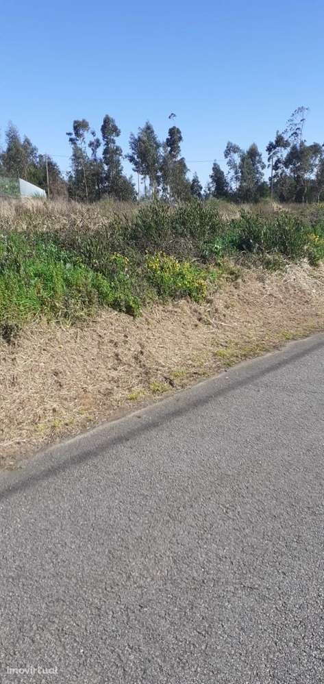 Fantástico Terreno com projeto para moradia em Sandim - Grande imagem: 5/13