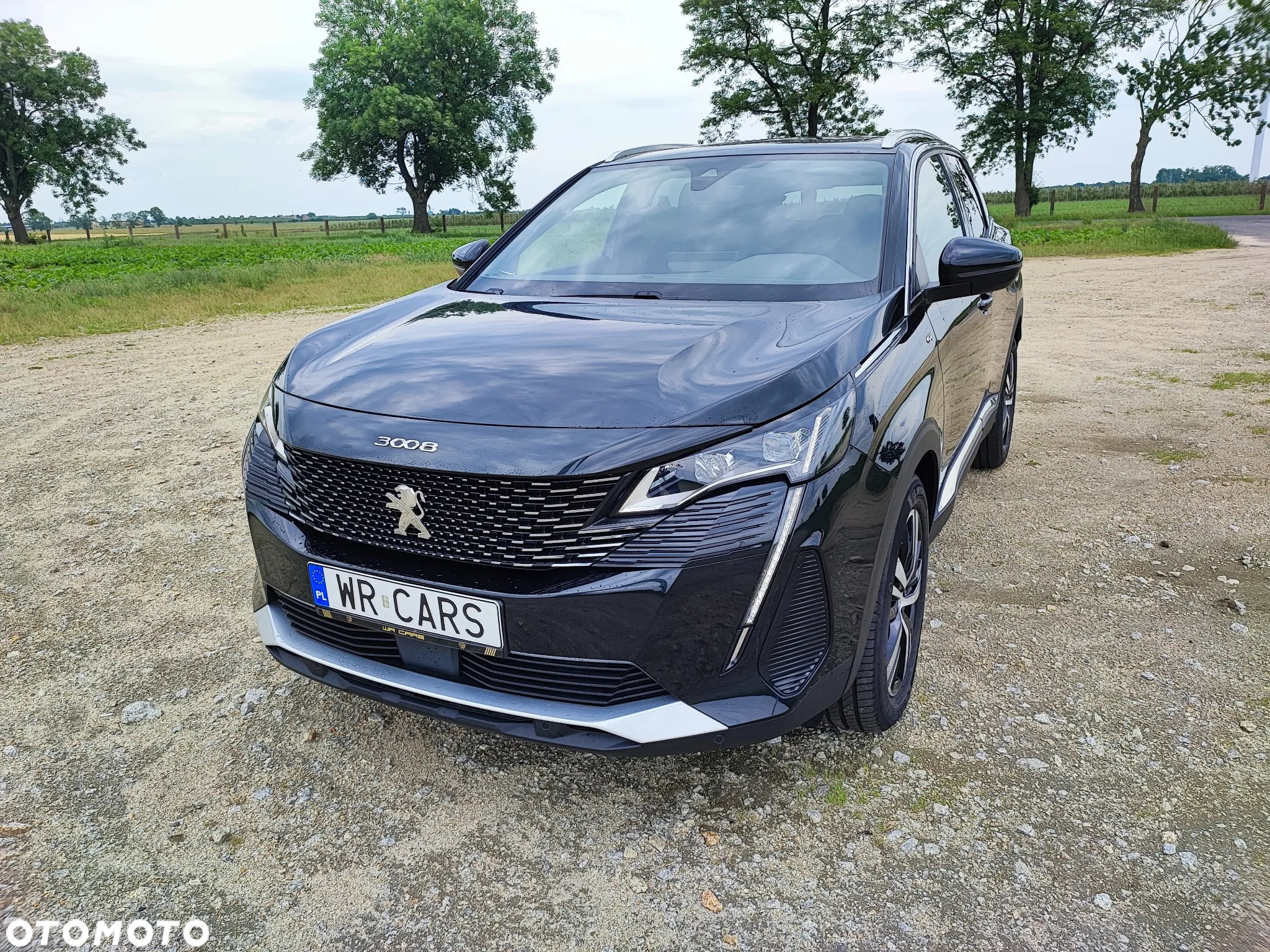 Peugeot 3008 1.2 PureTech mHEV GT S&S e-DCS6 - 2