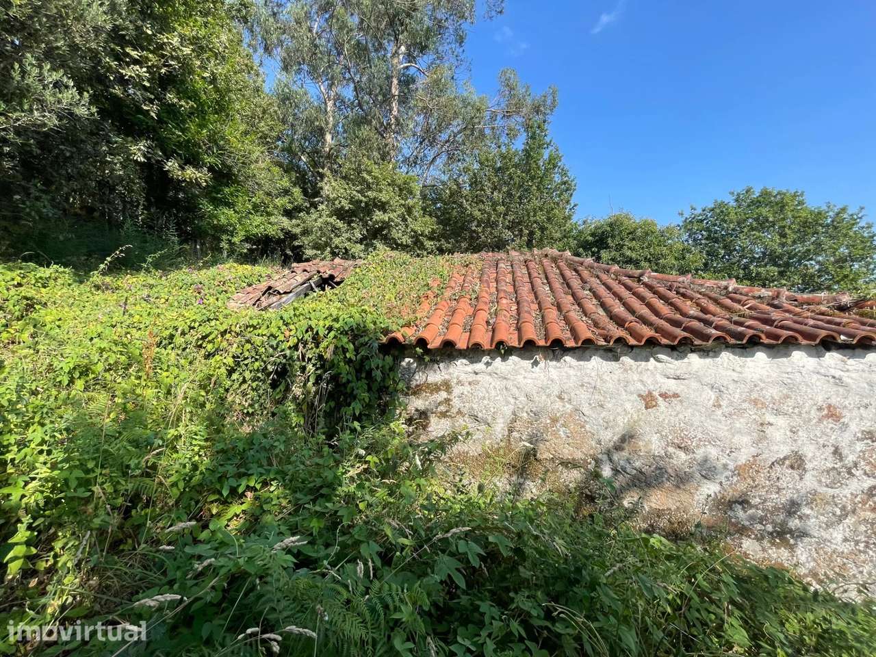 Propriedade com Duas Moradias em Ruína e Terreno boscoso em Gondoriz, - Grande imagem: 3/20