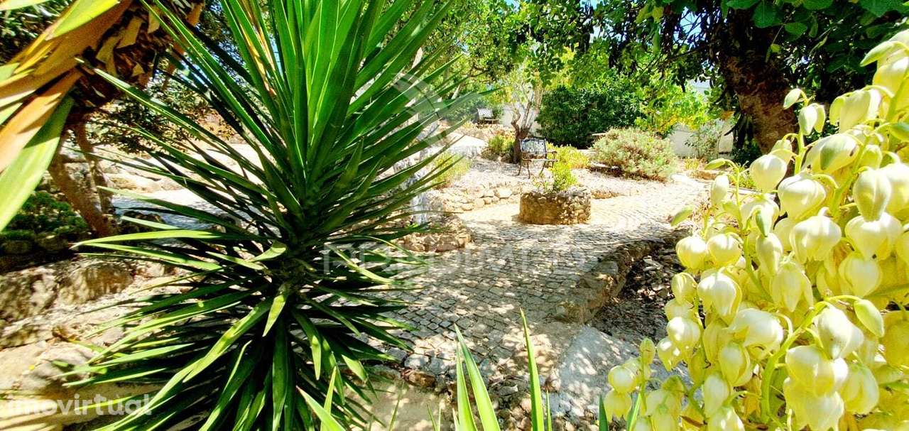 MORADIA TÉRREA 3 QUARTOS EM ALBUFEIRA  3KM DA PRAIA - Grande imagem: 3/30