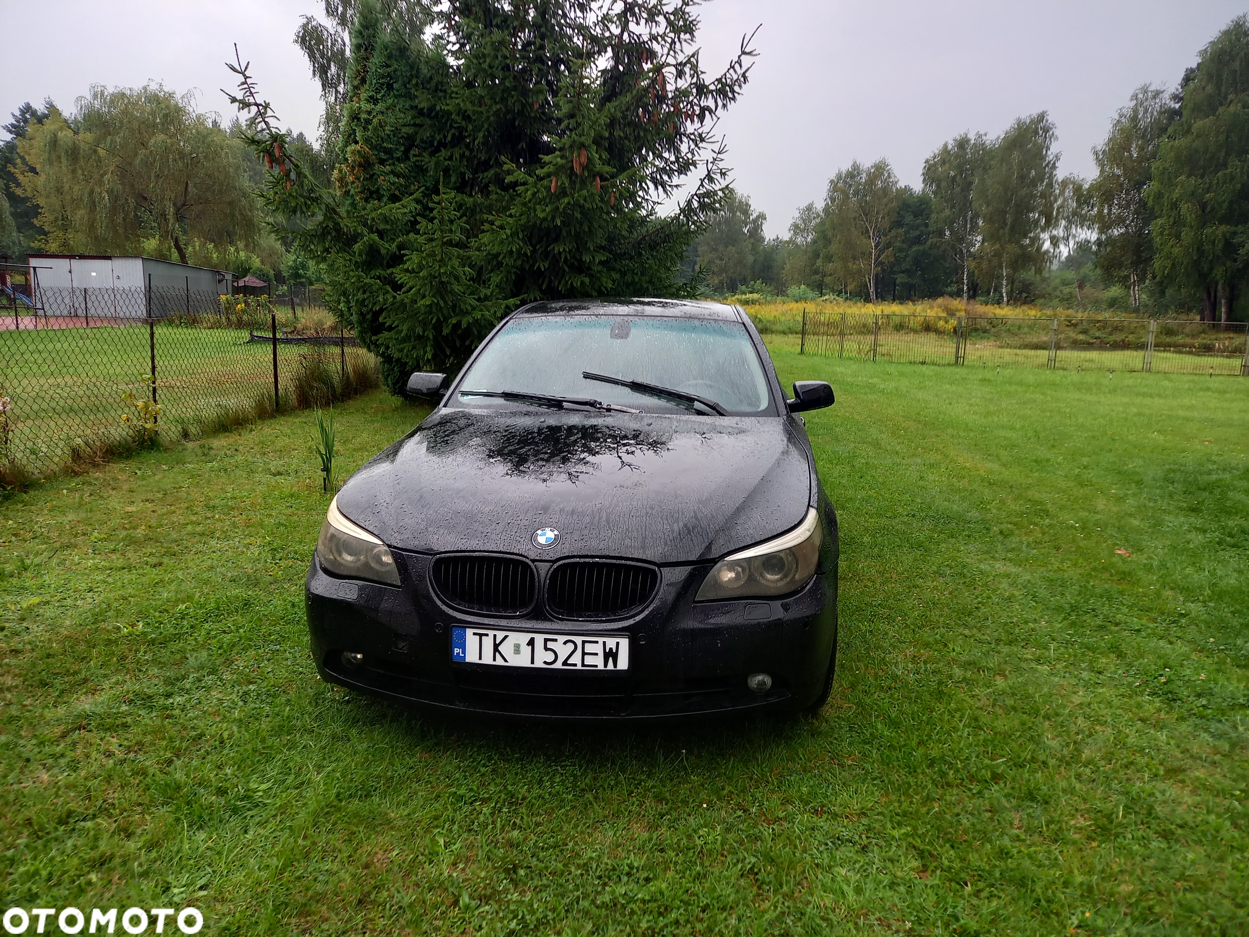 BMW Seria 5 520d - 10