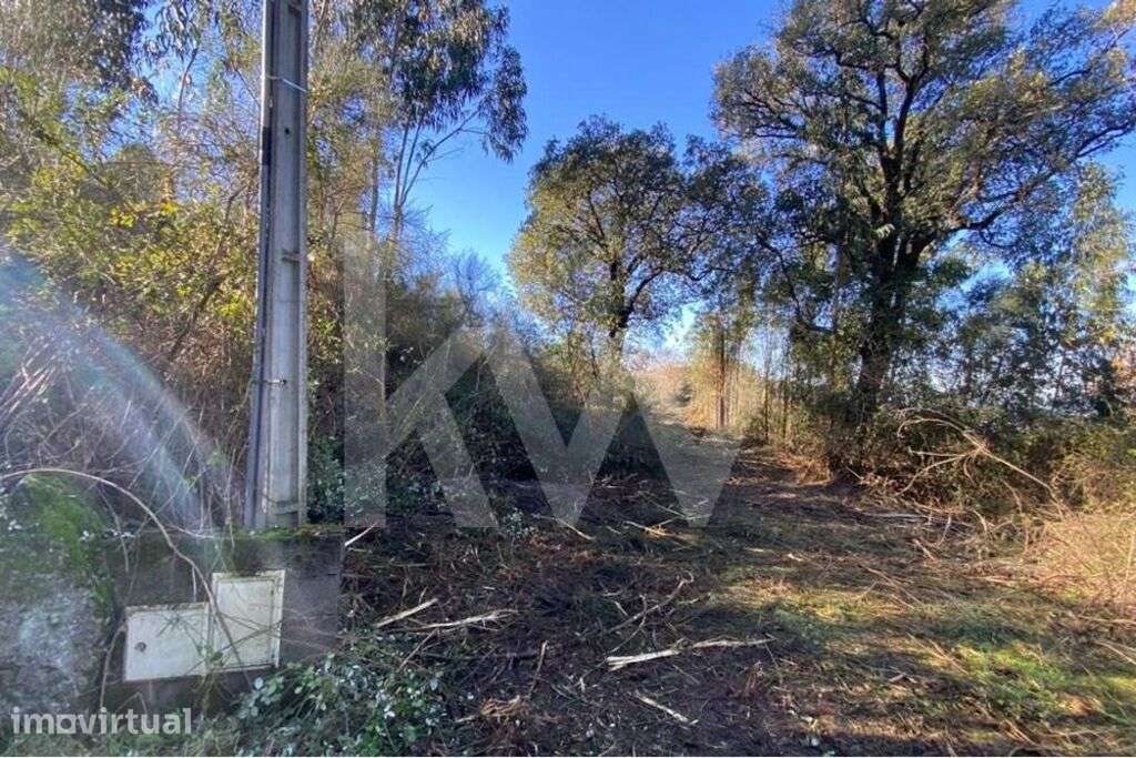 Terreno de 1.400 m2 a Apenas 6 Minutos de Santo Tirso! - Grande imagem: 2/9