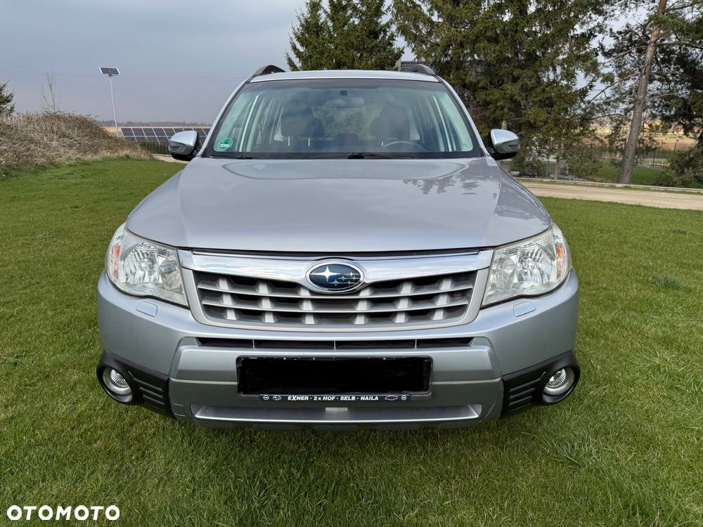 Subaru Forester - 23