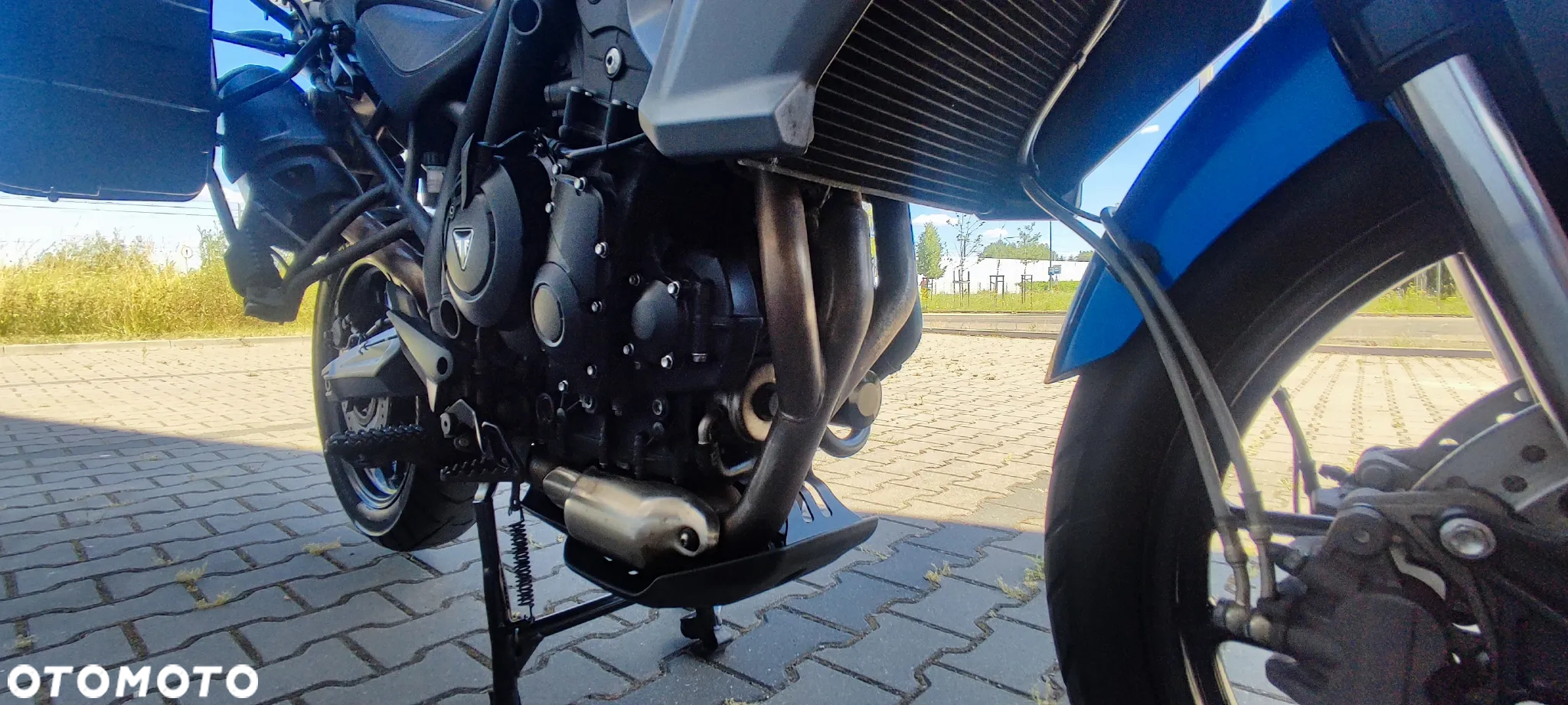 Triumph Tiger - 19