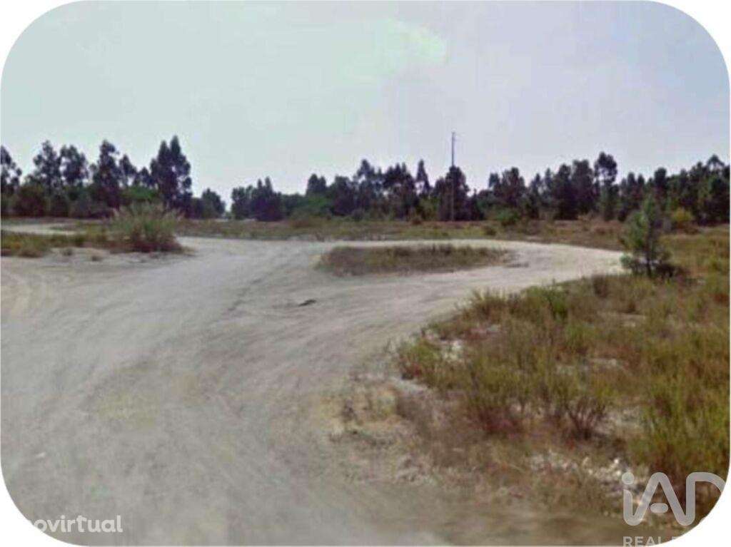 Terreno em Pegões de 108508,00 m2 - Grande imagem: 5/11