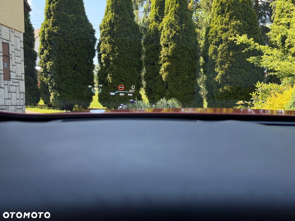 Lexus UX 250h GPF F Sport AWD - 31