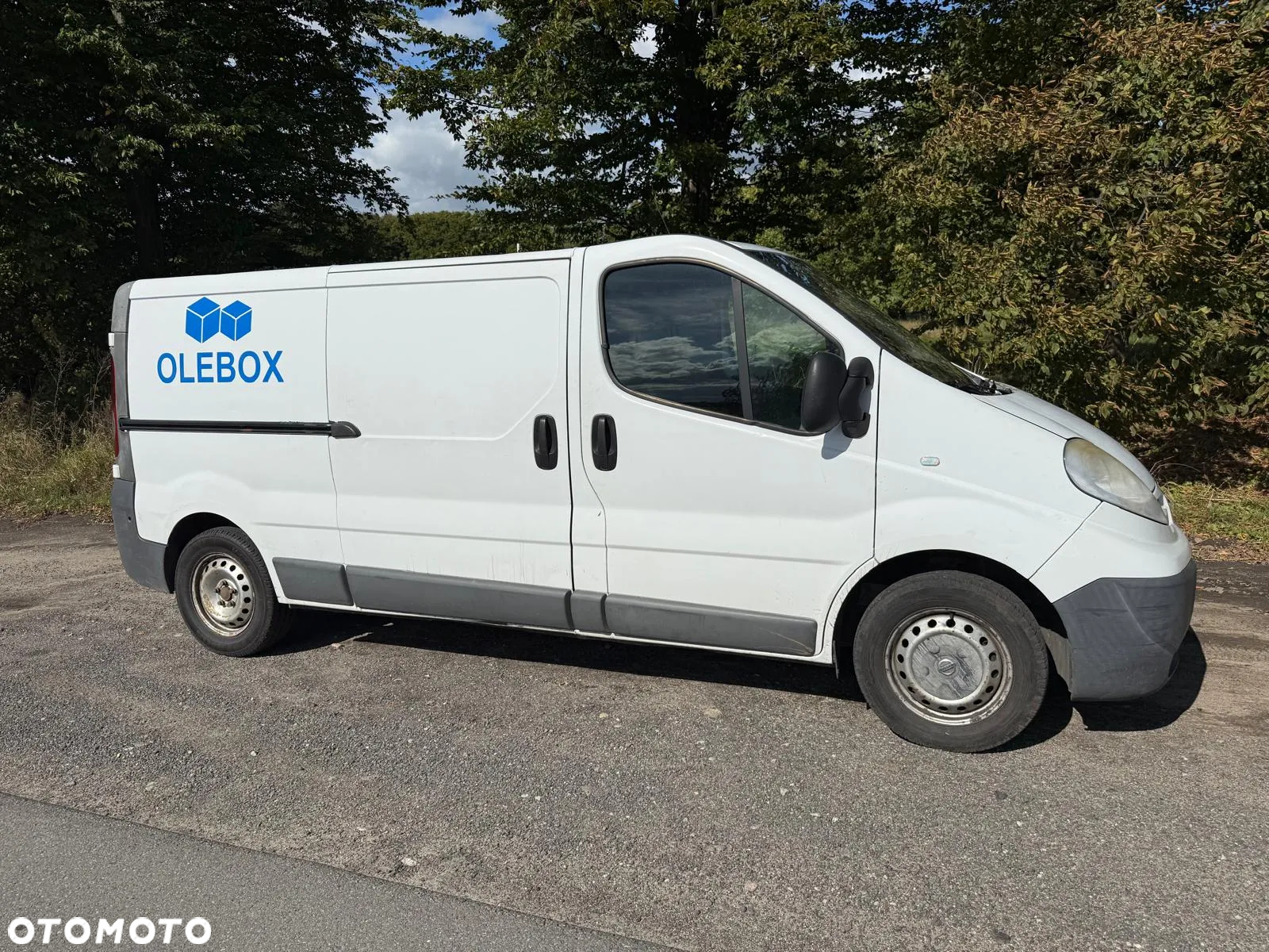 Nissan Primaster - 6