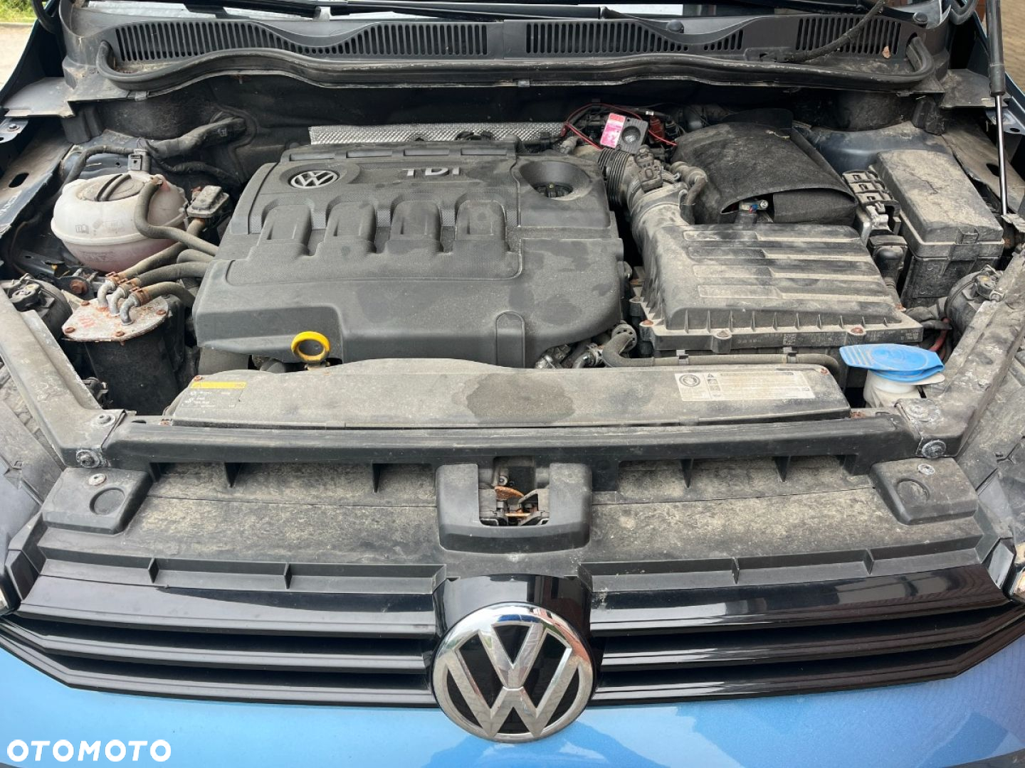 Volkswagen Golf Sportsvan 1.6 TDI BlueMotion Trendline - 24