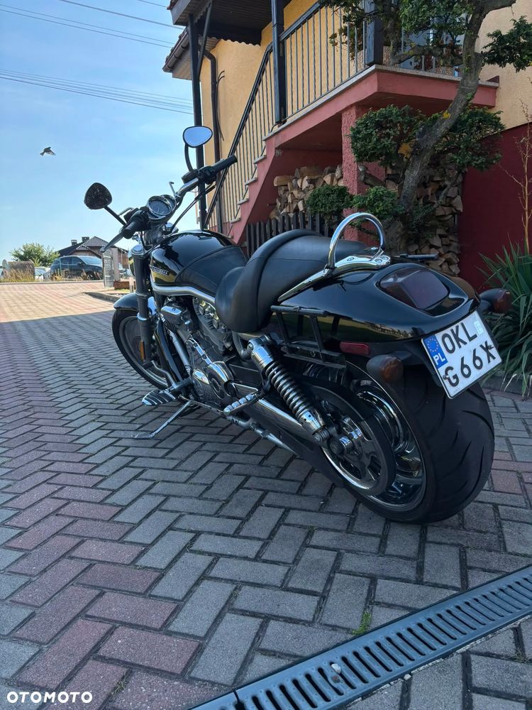 Harley-Davidson V-Rod Street Rod - 4