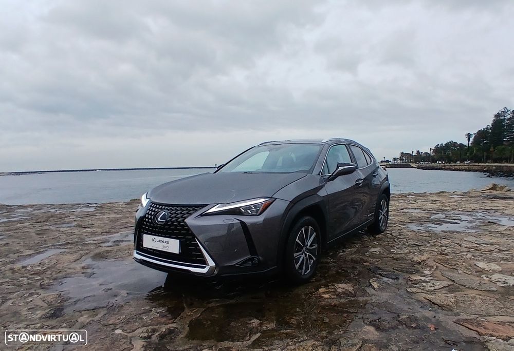 Lexus UX 300e Luxury - 10