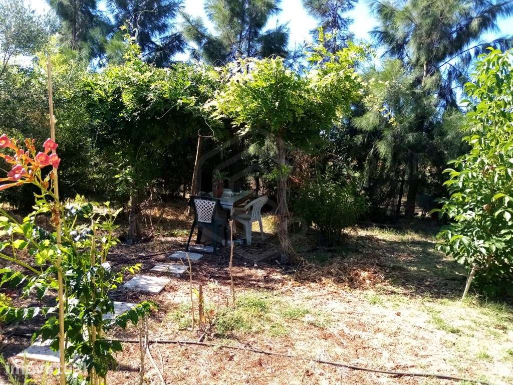 Terreno Agrícola com 2.120 m², São Bartolomeu de Messines, Algarve - Grande imagem: 4/33