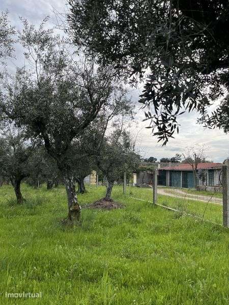 Terreno Castelo Branco - Grande imagem: 2/2