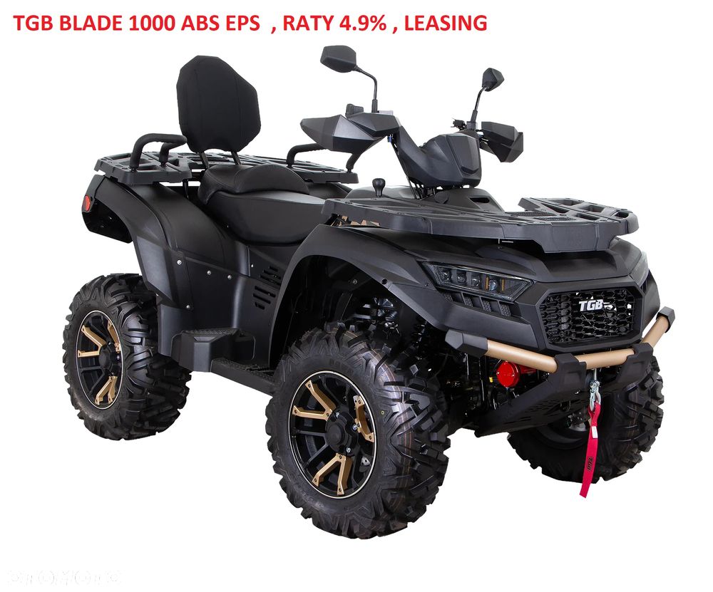 Suzuki Kingquad - 6