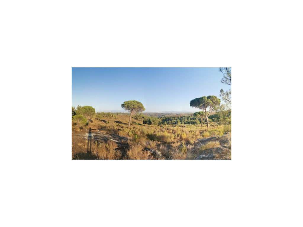 Vende-se Lote de Terreno para construção de Moradia Unifamiliar em ... - Grande imagem: 4/8