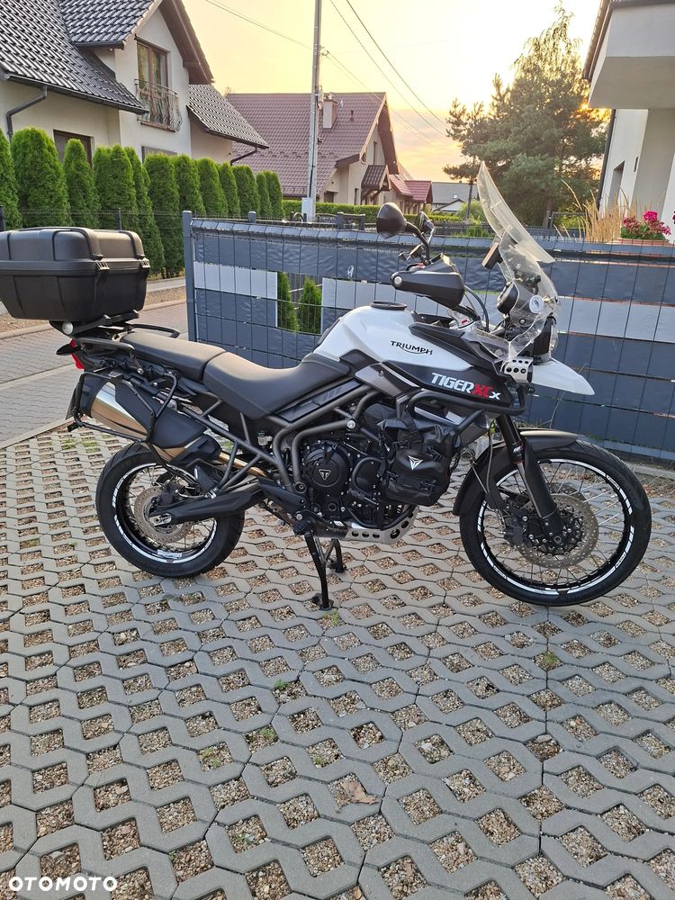 Triumph Tiger - 8
