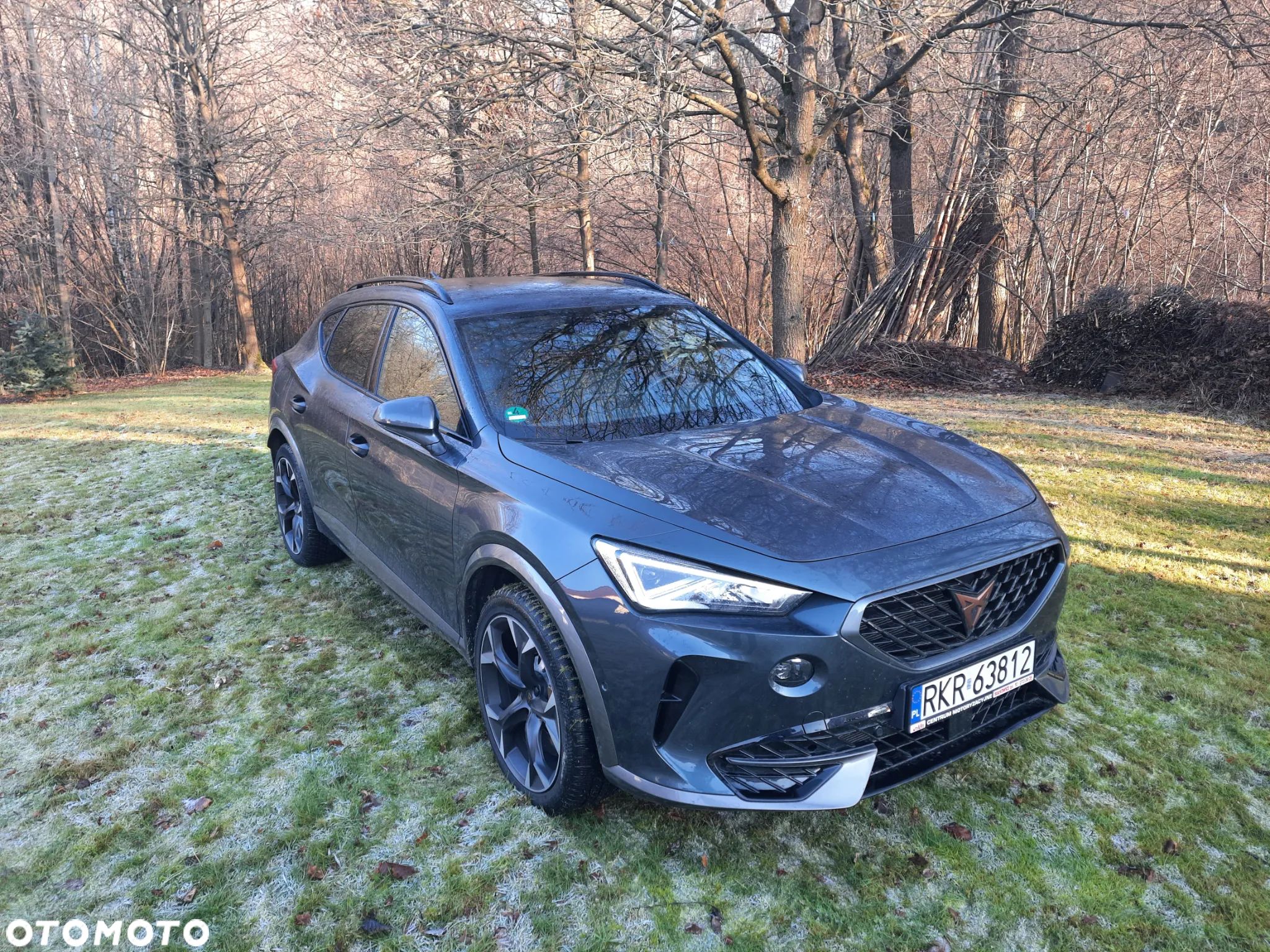 Cupra Formentor VZ 2.0 TSI 4Drive DSG - 1