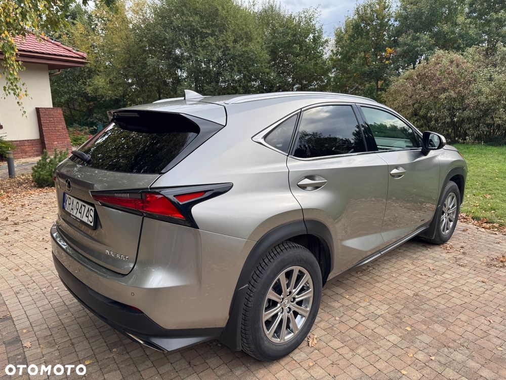 Lexus Nx 2019 photo 4