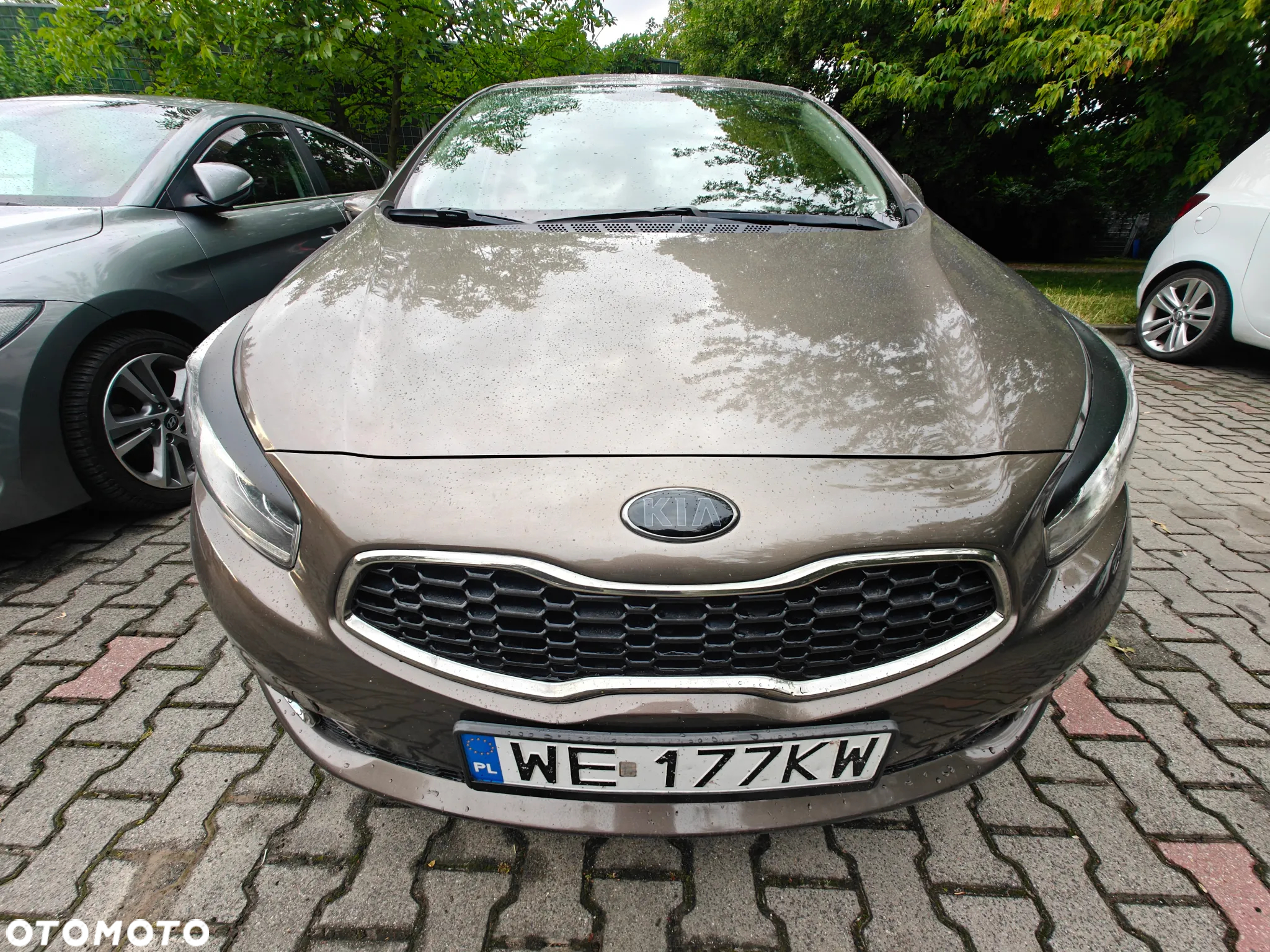 Kia Ceed Cee'd 1.6 GDI M - 5