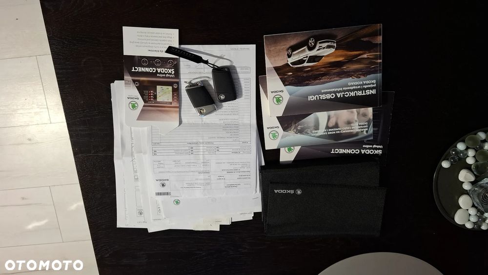 Skoda Kodiaq 2.0 TDI 4x4 Active DSG - 13